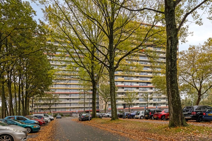 Oost-Dorsch 129 in Zaandam