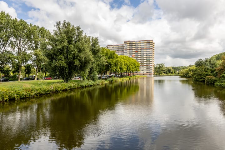 Oost-Dorsch 156 in Zaandam Foto