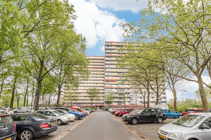 Oost-Dorsch 37 in Zaandam