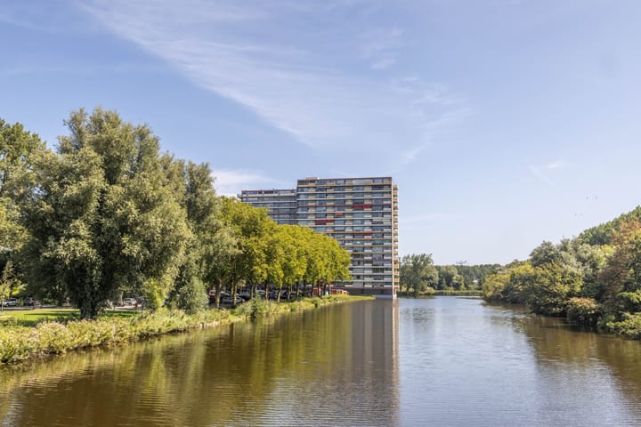 Oost-Dorsch 42 in Zaandam