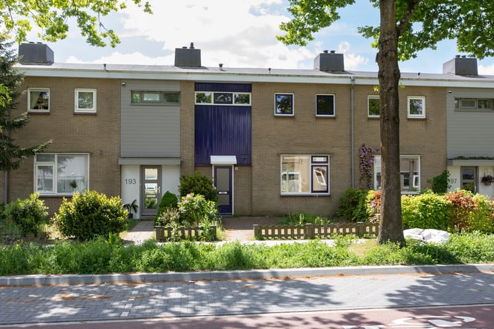 Oranjeweg 195 in Rheden