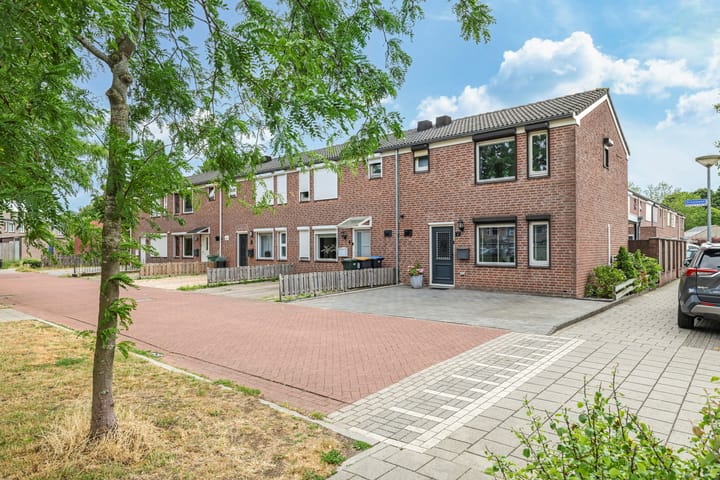 Ornament 2 in Beuningen Gld