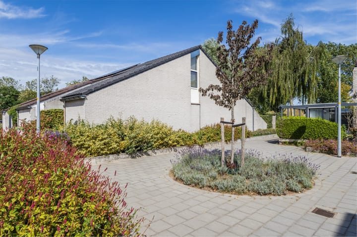 Paalgrens 20 dans Huissen photo