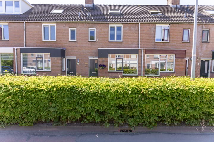 Paardebloem 12 in Zwaag