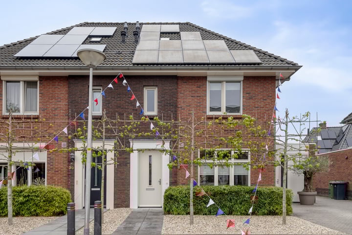 Paardebloem 28 in Rijssen