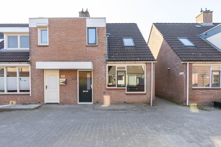 Paardebloem 67 in Zwaag