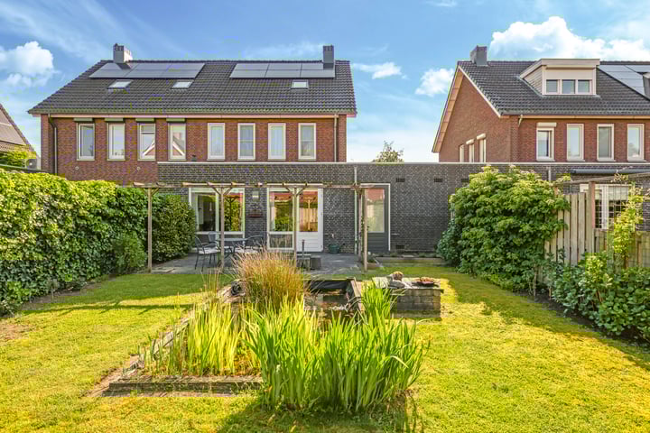 Paardenbloem 62 in Driel