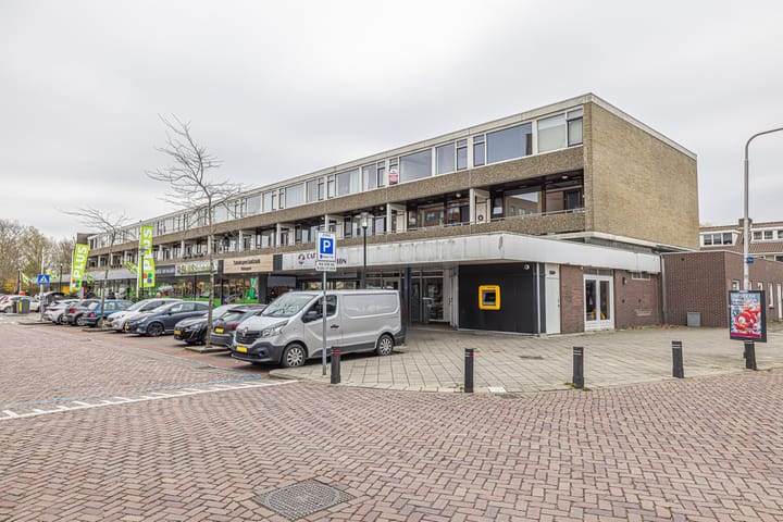 Palet 14 in Hillegom