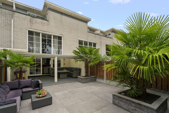 Palissander 216 in Dordrecht foto