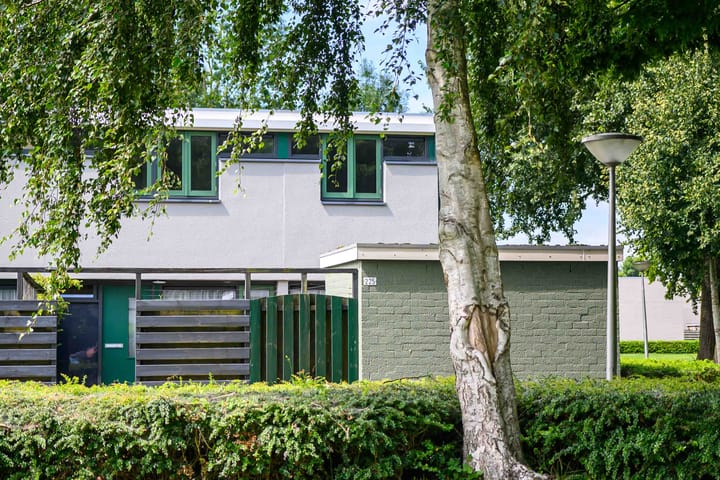 Pallasstraat 225 in Emmeloord Foto