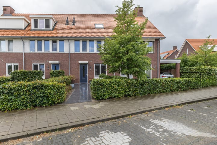 Palmkool 4 in Dorst