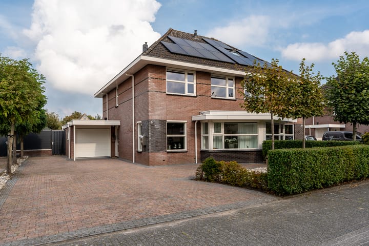 Papegaaiduiker 6 in Wildervank