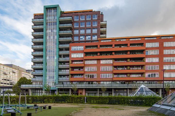 Papyruspad 177 in Rijswijk