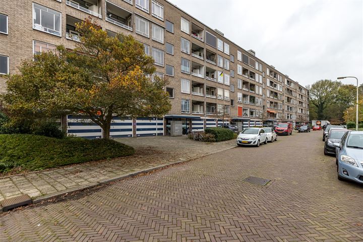 Parelmoerhorst 246 in 's-Gravenhage