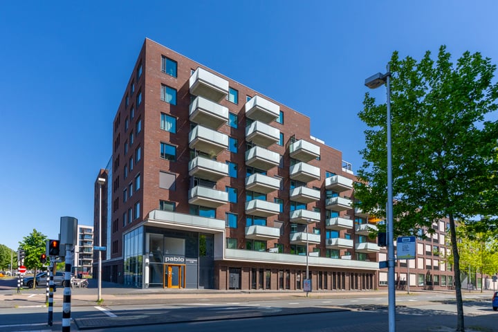 Parkzichtlaan 63 in Utrecht