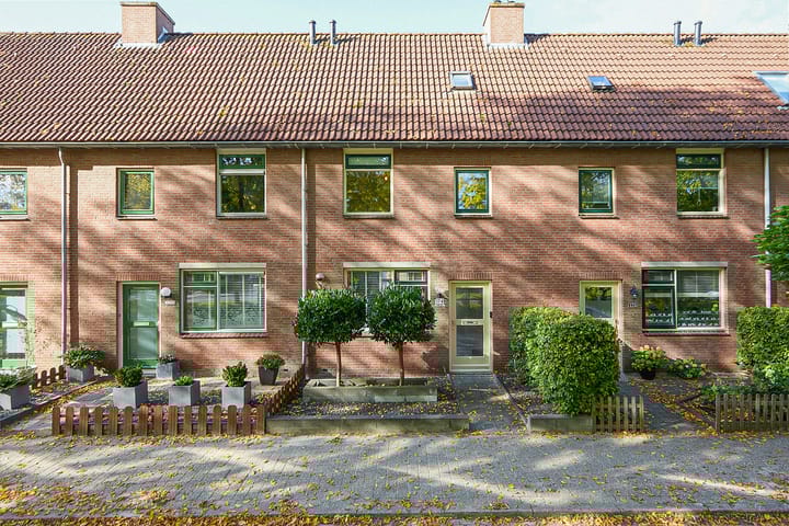 Patio 174 in Hoorn