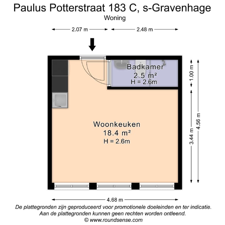 Paulus Potterstraat 183C in 's-Gravenhage foto