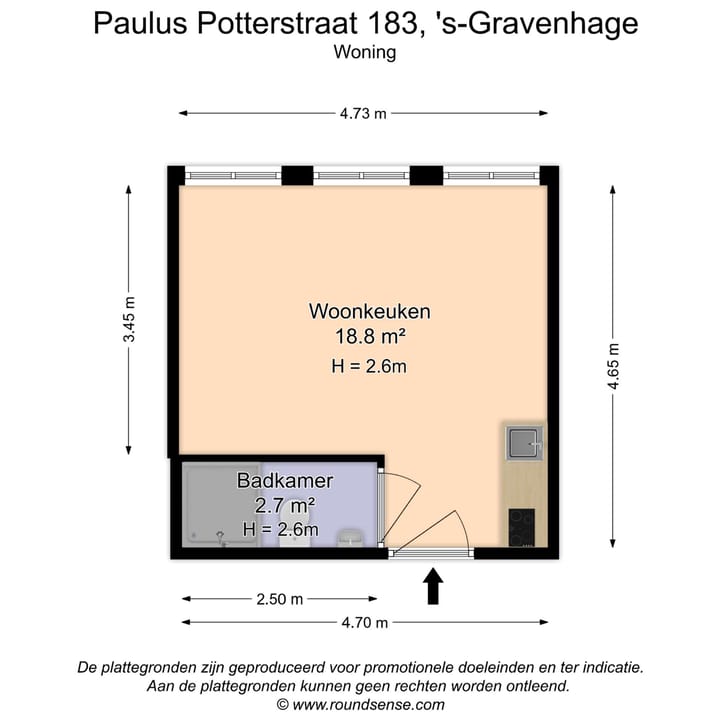 Paulus Potterstraat 183D in 's-Gravenhage foto