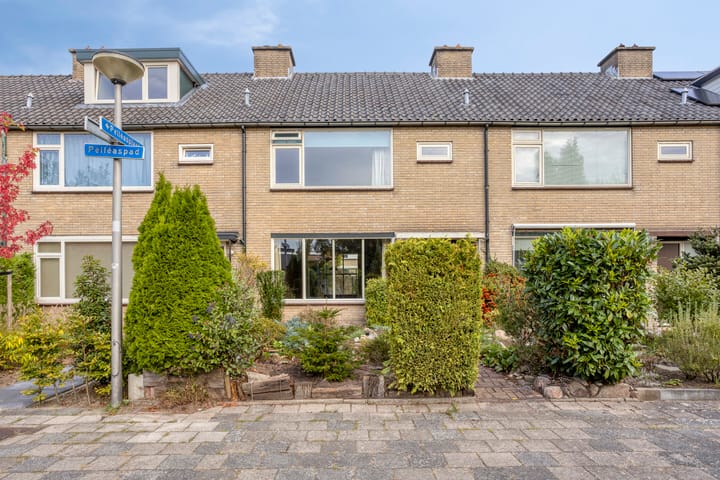 Pelléaspad 11 in Amersfoort