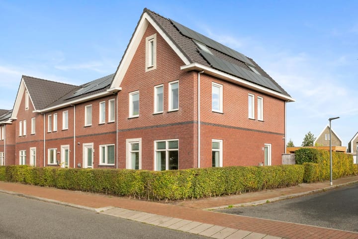 Penningkruid 1 in Meerstad