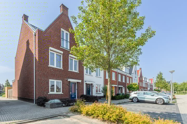 Penningkruid 10 in Bodegraven