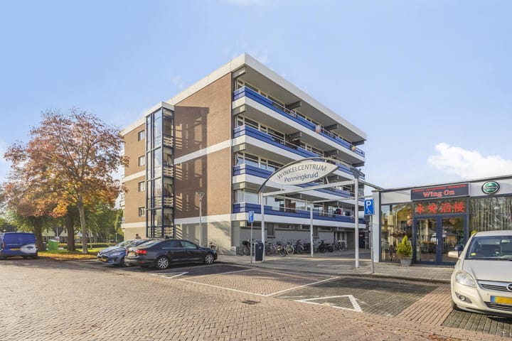 Penningkruid 12 in Kampen