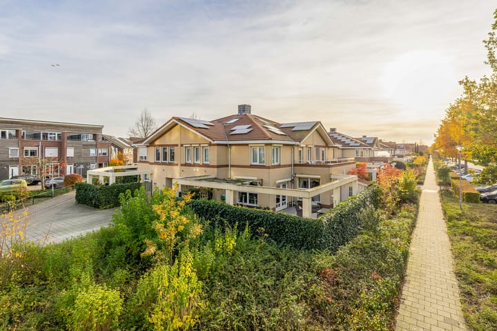 Penningkruid 2 dans Tegelen photo