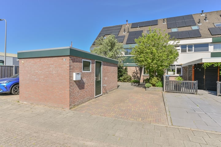 Penningkruid 39 in Kampen
