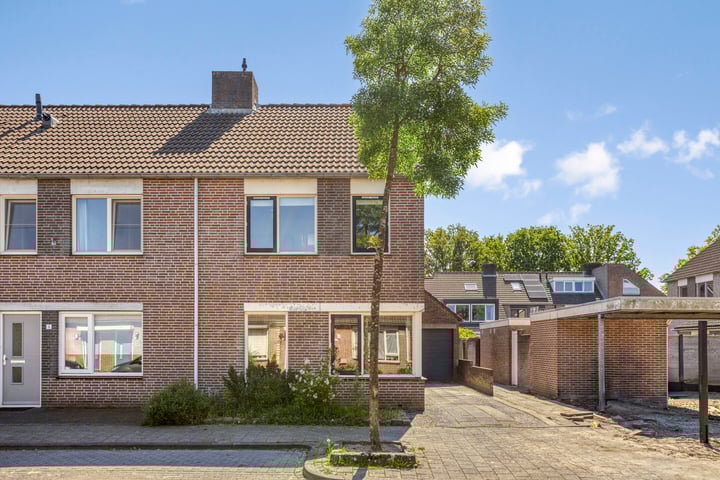 Perzikkruid 2 in Breda