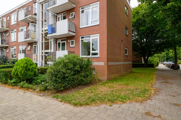 Peter van Anrooystraat 25 in Leiden
