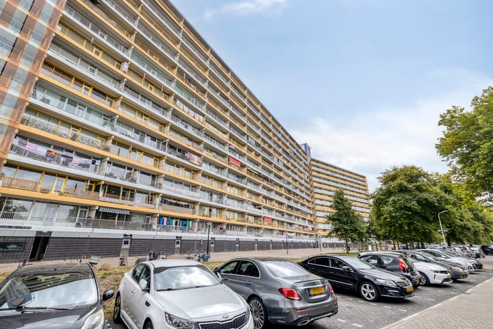 Pharus 47 in Zaandam