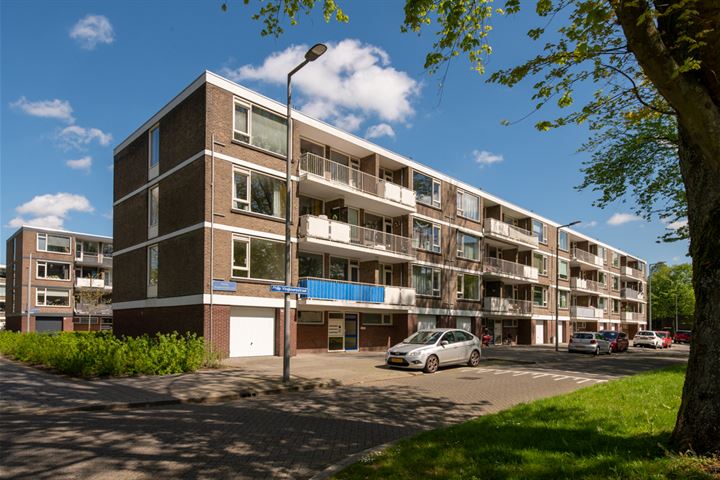 Philip Vingboonsstraat 205 in Rotterdam