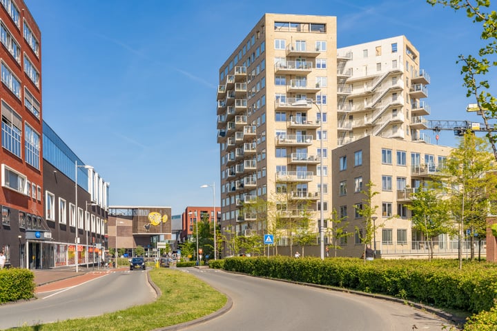 Piet Mondriaanlaan 339 in Amersfoort