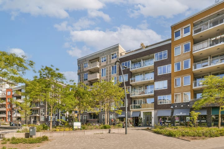 Piet Mondriaansingel 243 in Diemen