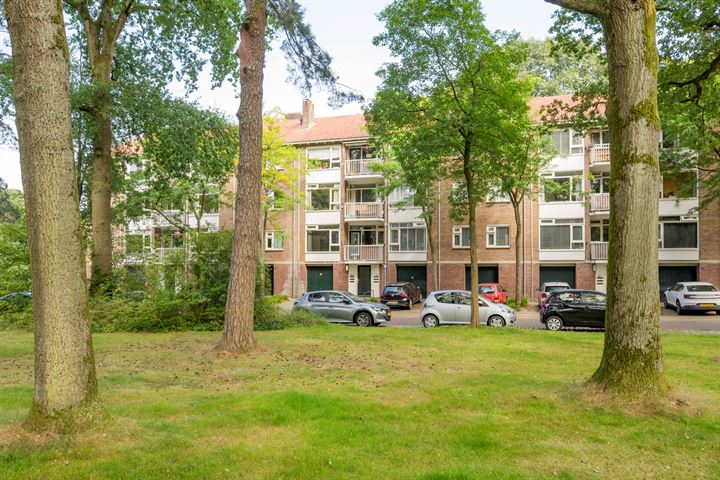 Pieter Jelles Troelstralaan 65A in Amersfoort