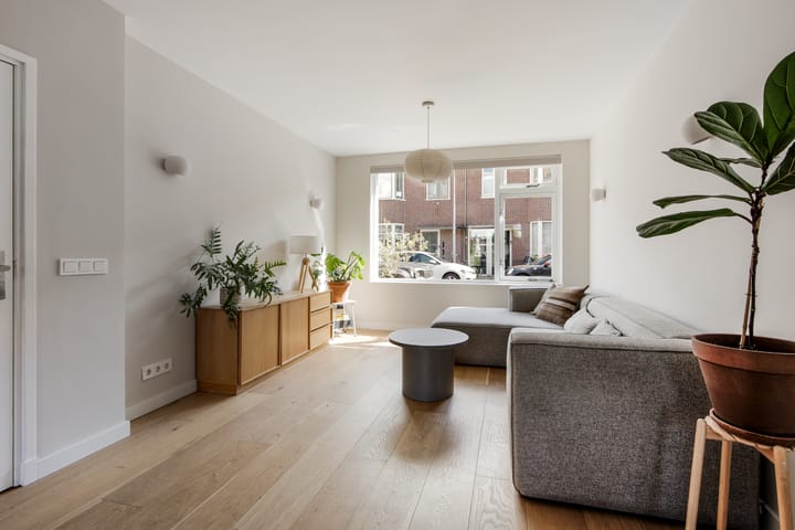 Pieter Maritzstraat 33 in Haarlem