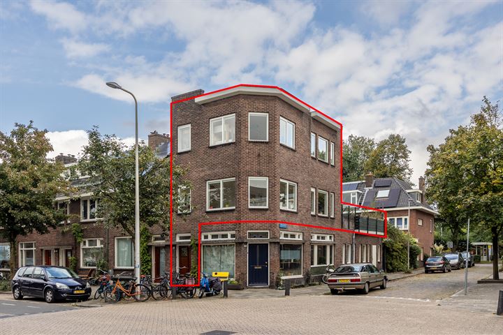 Pieter Nieuwlandstraat 24-BS in Utrecht