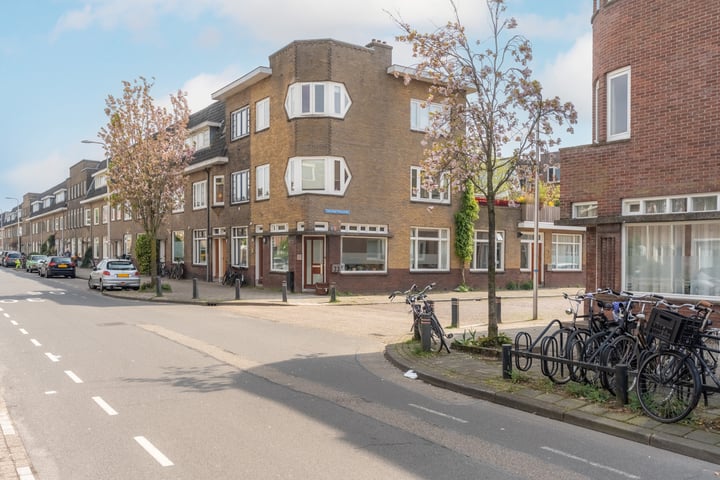 Pieter Nieuwlandstraat 35 in Utrecht