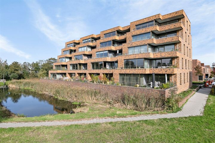 Pijlkruid 4 in Alphen aan den Rijn