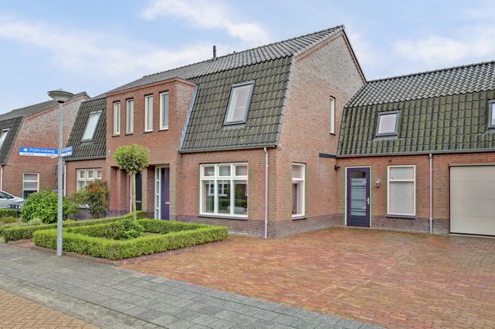 Pijlkruidweg 17 in Neerkant