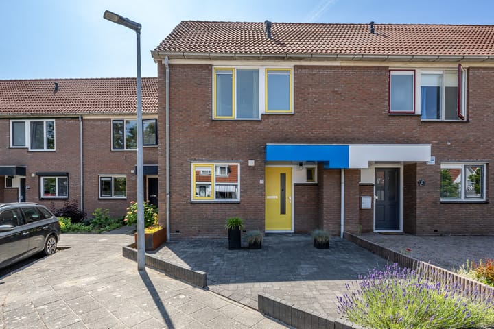 Pimpelmees 15 in Sommelsdijk foto