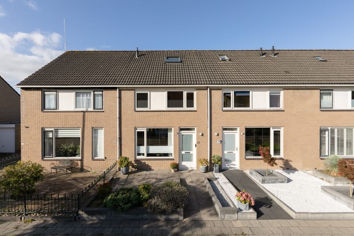 Pinksterbloem 13 in Sneek Foto