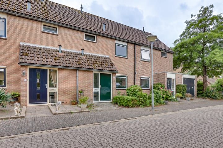 Pinksterbloem 50 in Kampen