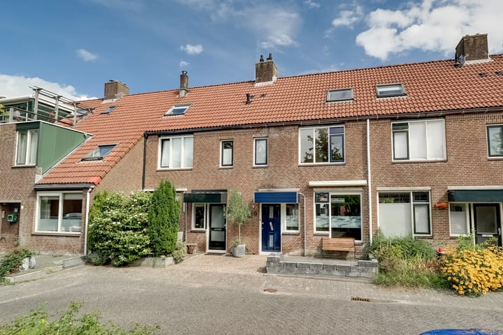 Pinksterbloem 9 in Zwaag Foto