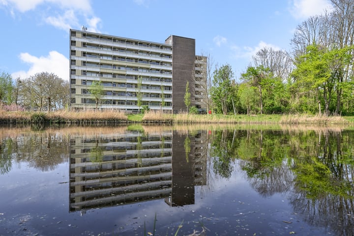 Pinksterbloemweg 139 in Zaandam