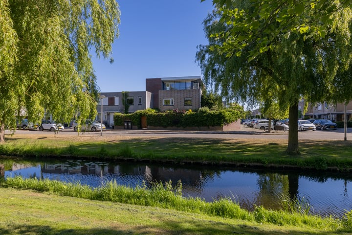Pioen 7 in Noordwijkerhout