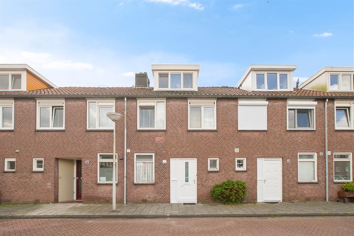Pisuissehof 19 in Amsterdam photo
