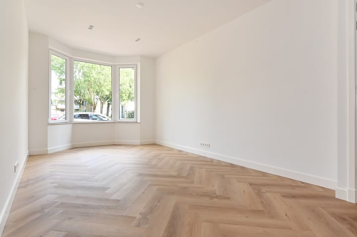 Pisuissestraat 67 in 's-Gravenhage