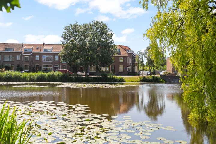 Plassingel 1 in Rotterdam