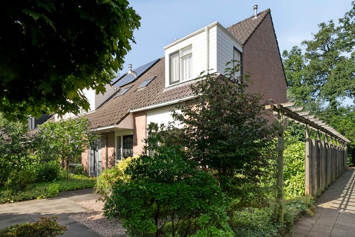 Plataan 20 in Heino photo
